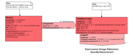 Text Observation Within Section