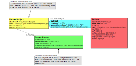 Subject Context, Fetus