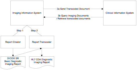 Report Creation and Transformation
