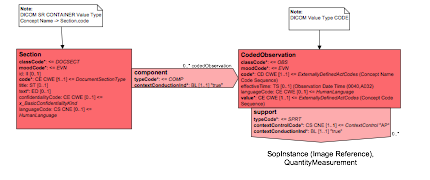 Coded Observation Within Section