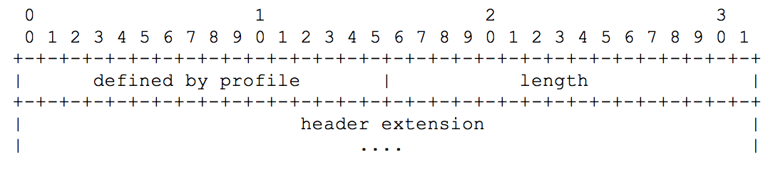 RTP Header Extension