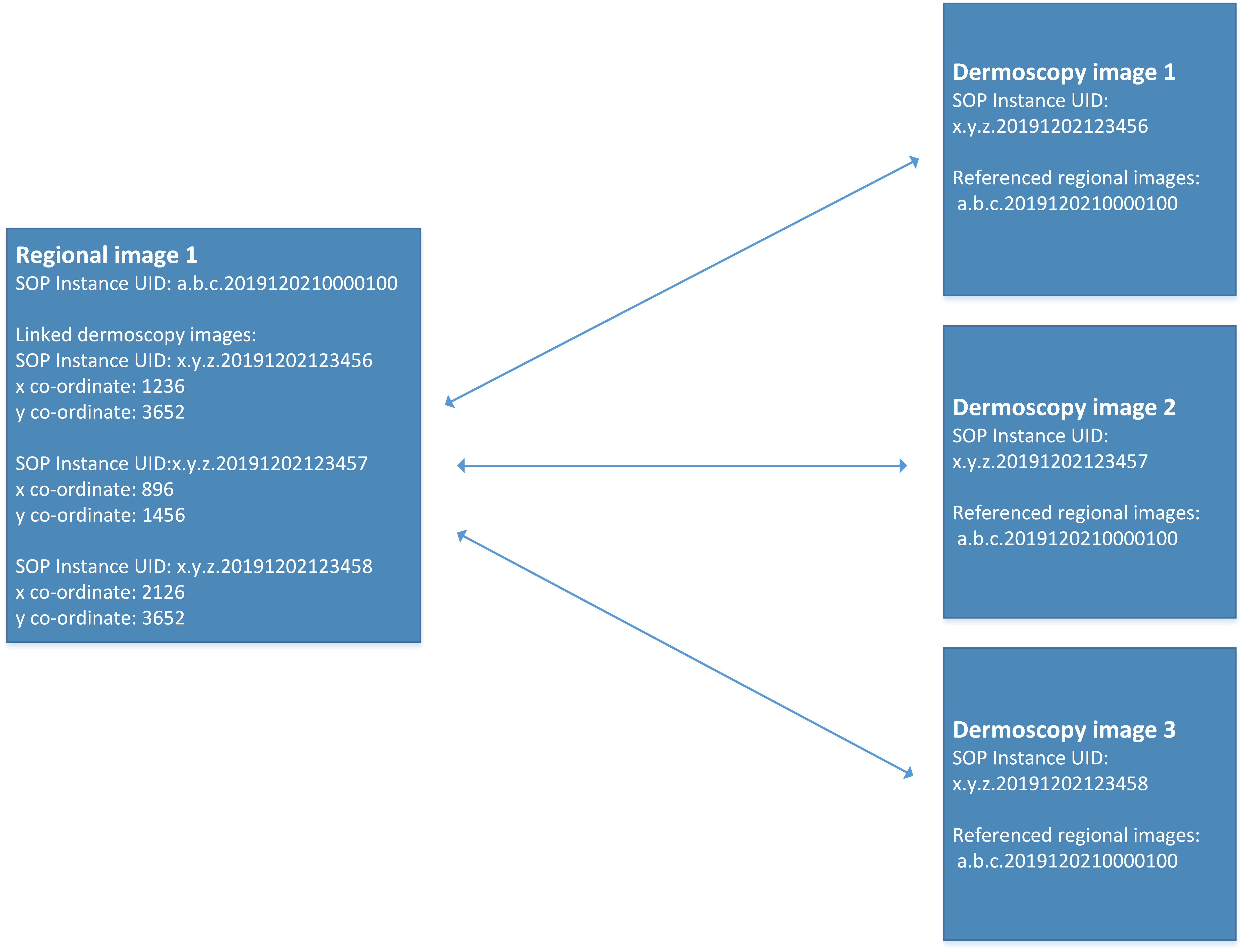 Linkage between regional image(s) and dermoscopy image(s) within a dermatology imaging study